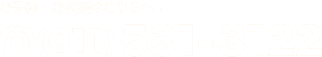 011-531-3122